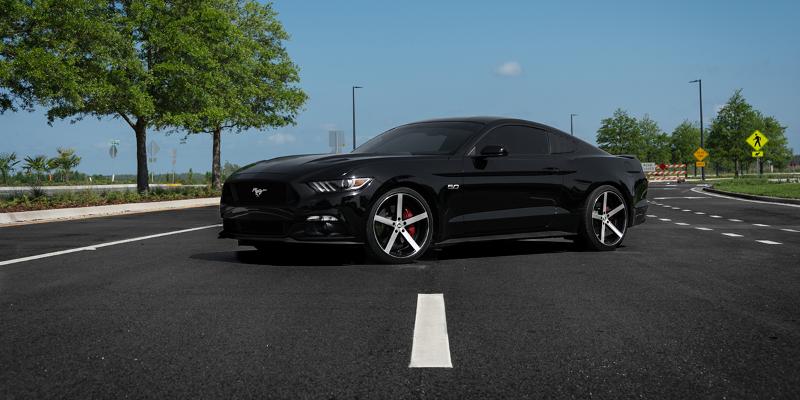 Ford Mustang Spec-1 SP-10